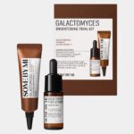 Some By Mi Galactomyces Brightening Trial Kit